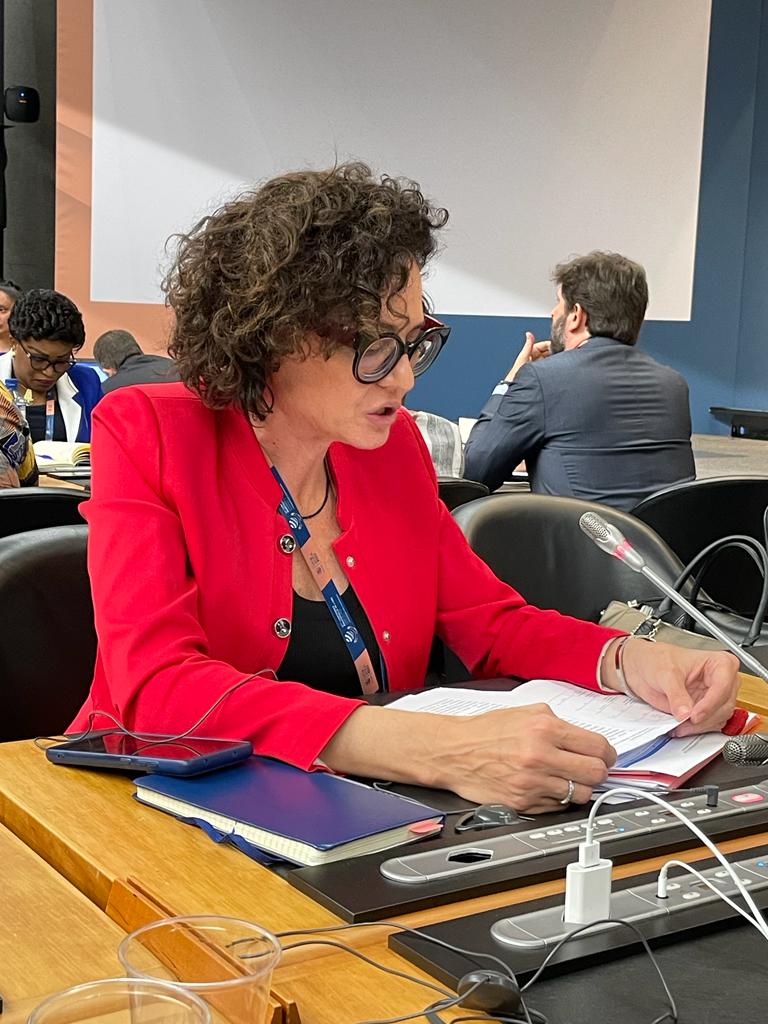 Todesca Bocco en la Conferencia Ministerial de la OMC destacó el rol de Argentina con respecto a la seguridad alimentaria