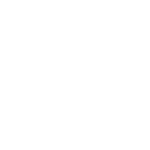 Icono Mercosur