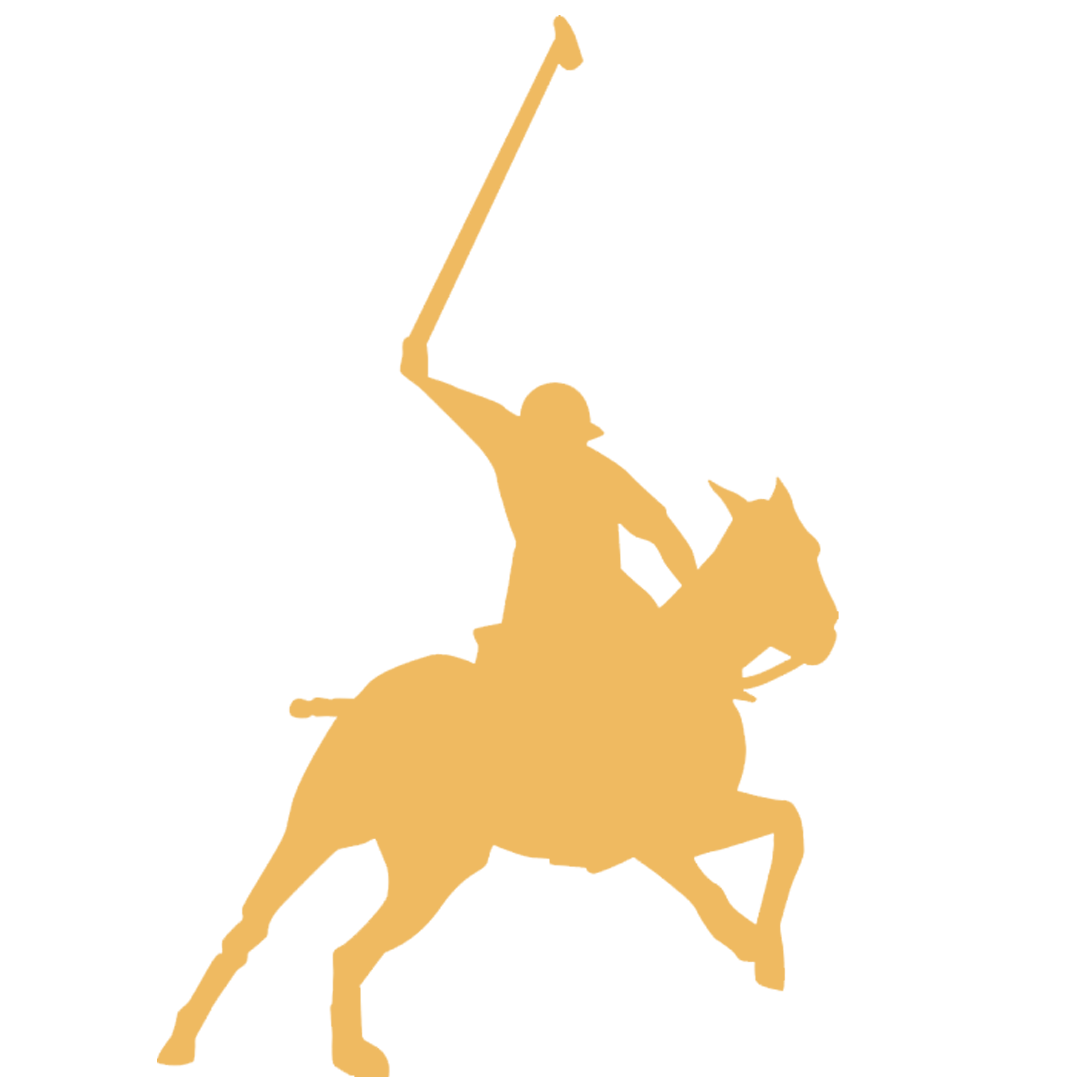 Polo Made in Argentina