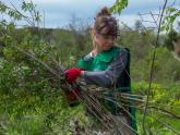 Asistencia ambiental: nuevo trabajo en el Parque Nacional Ciervo de los Pantanos