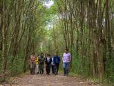 Asistencia ambiental: nuevo trabajo en el Parque Nacional Ciervo de los Pantanos