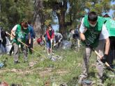 Voluntariado Ambiental