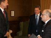 Faurie, acompañado del Embajador Carlos Sersale, dialoga con Jeremy Hunt