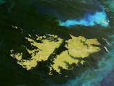 Islas Malvinas