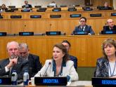 Cuestión de las Islas Malvinas: con amplio apoyo internacional, las Naciones Unidas reiteraron el llamado al diálogo bilateral