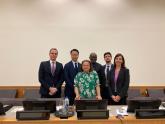 Committee to Elaborate a Comprehensive International Convention on Countering the Use of Information and Communications Technolo