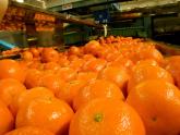 Panamá abre su mercado a los cítricos argentinos