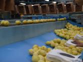 Panamá abre su mercado a los cítricos argentinos