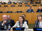 Cuestión de las Islas Malvinas: con amplio apoyo internacional, las Naciones Unidas reiteraron el llamado al diálogo bilateral