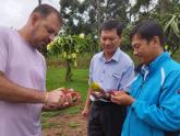 Especialistas de Vietnam recorrieron la provincia de Misiones para realizar la tercera etapa del proyecto de cooperación “Frutic