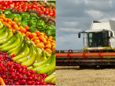 agroalimentos