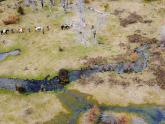 Mision ambiental en Chubut