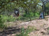 Equipos técnicos de Kenia y Tanzania visitaron establecimientos ganaderos del INTA en Santiago del Estero y La Rioja