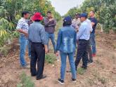 Cooperación técnica y científica entre Argentina y Vietnam: segunda etapa del proyecto "Cooperación en fruticultura tropical"