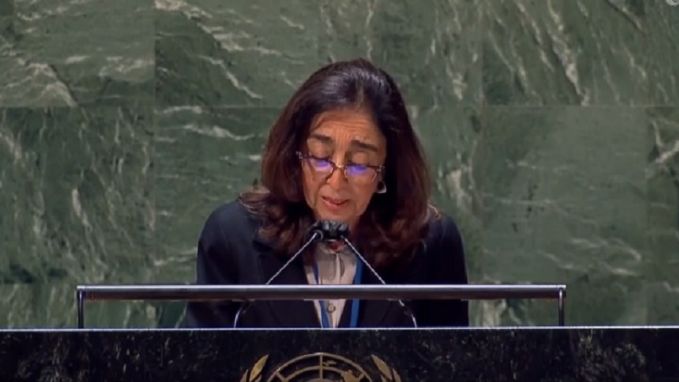 María del Carmen Squeff_ONU