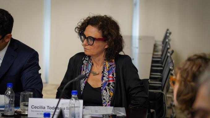 Cecilia Todesca Bocco_Brasilia