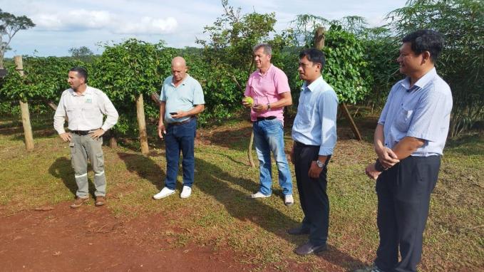 Especialistas de Vietnam recorrieron la provincia de Misiones para realizar la tercera etapa del proyecto de cooperación “Frutic
