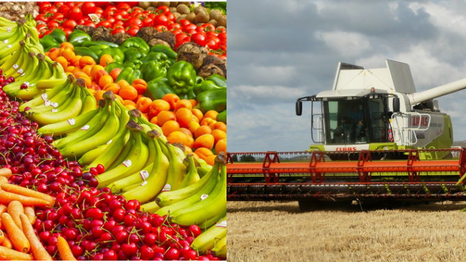 agroalimentos