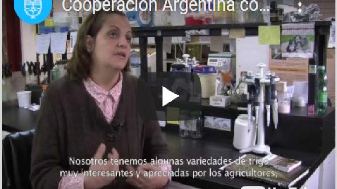 Argelia Trigo