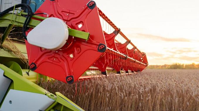 imagen representativa