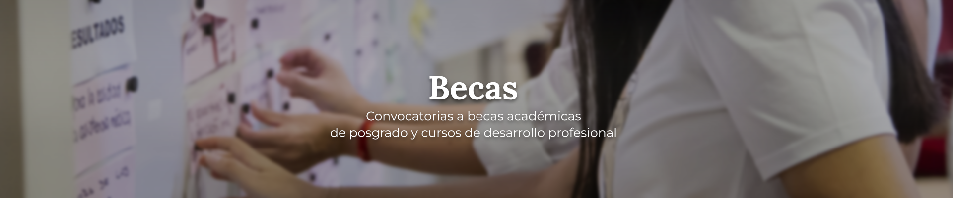 Cooperación Argentina - Becas