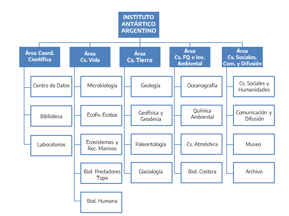 Estructura Organizacional